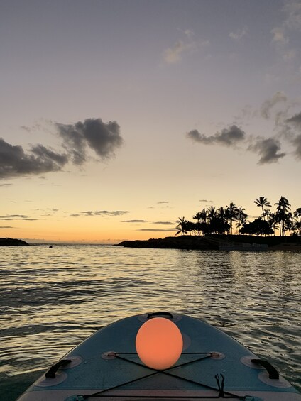 Night Glow Paddle