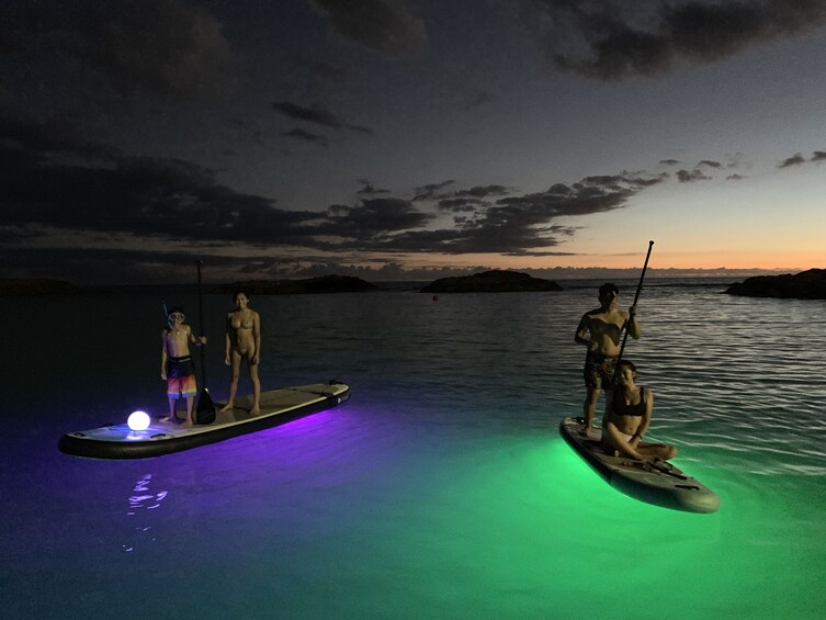 Night Glow Paddle