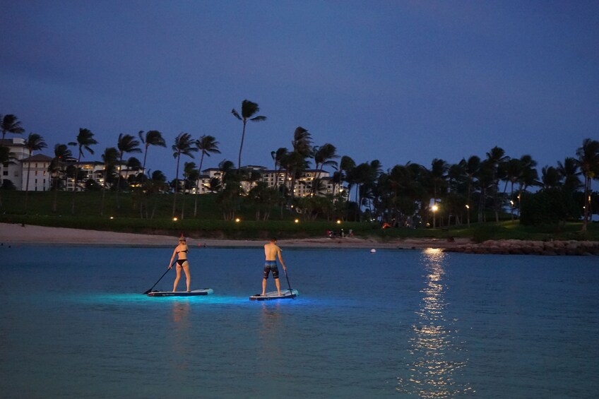 Night Glow Paddle