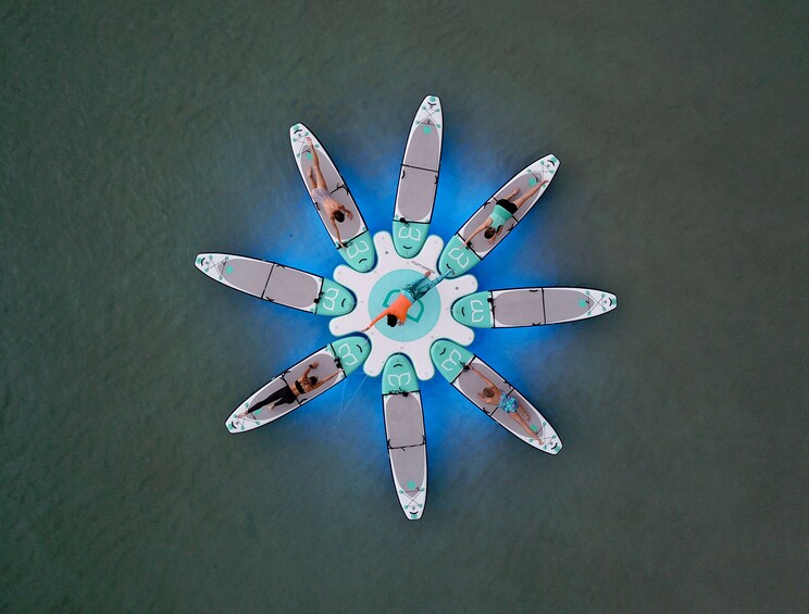 Lotus Yoga