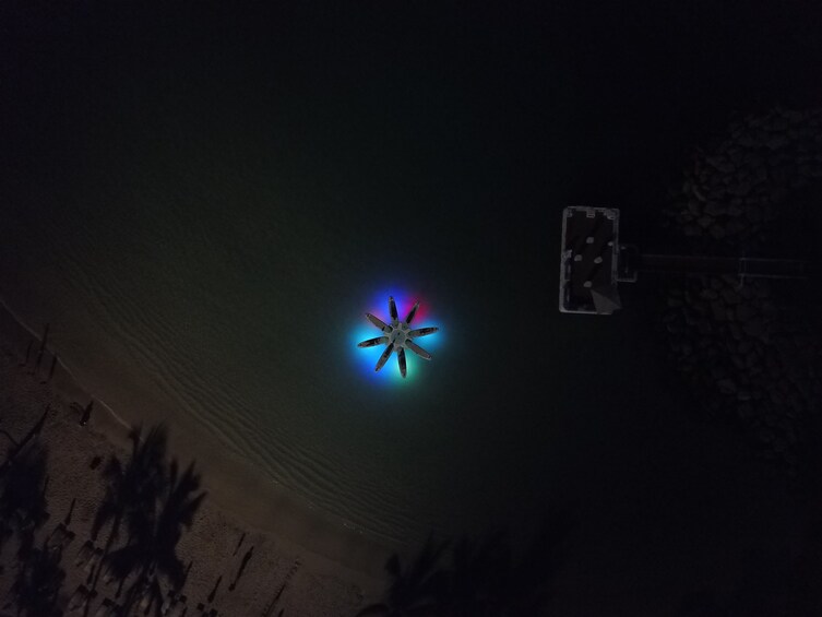 Lotus Yoga