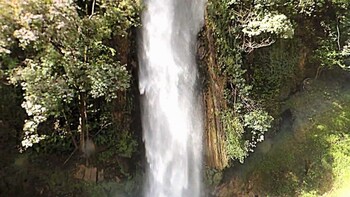 Dehradun City Tour (Pickup from Hotel)