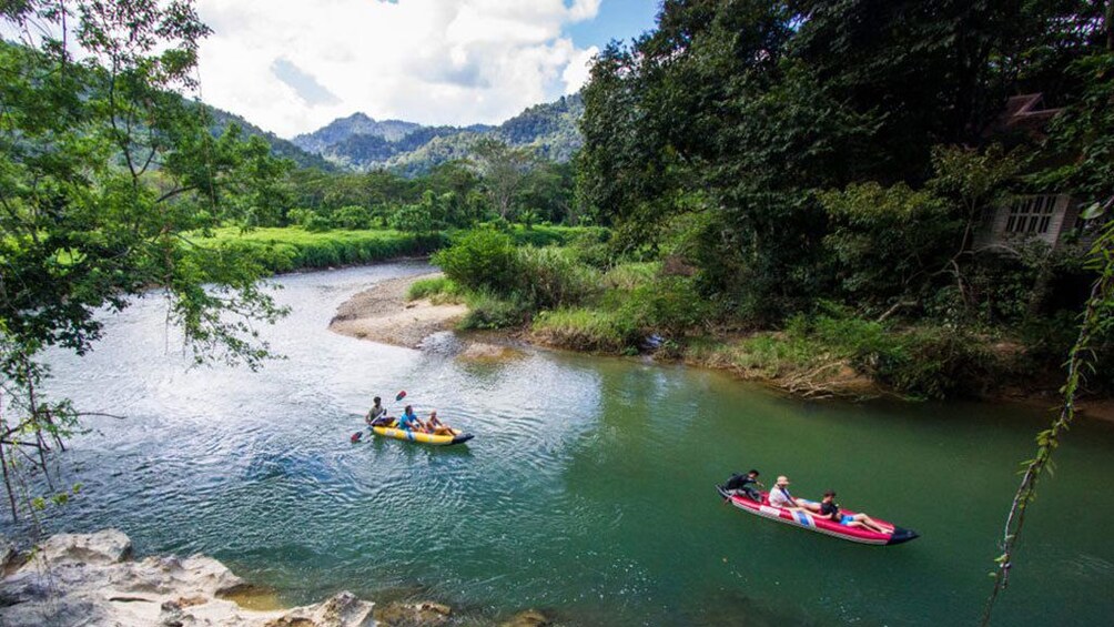 Show item 2 of 8. One Day Tour Khao Sok Jungle Safari from Krabi