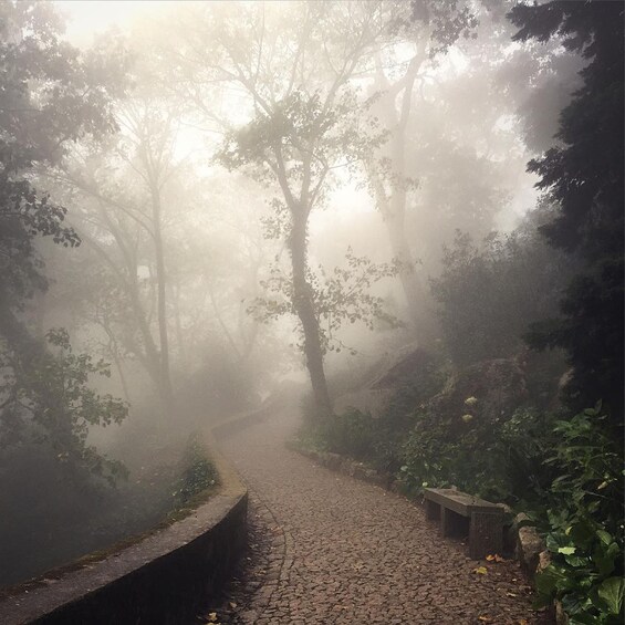 Private Day Walk: "Sintra, Legends and Medieval Stories"