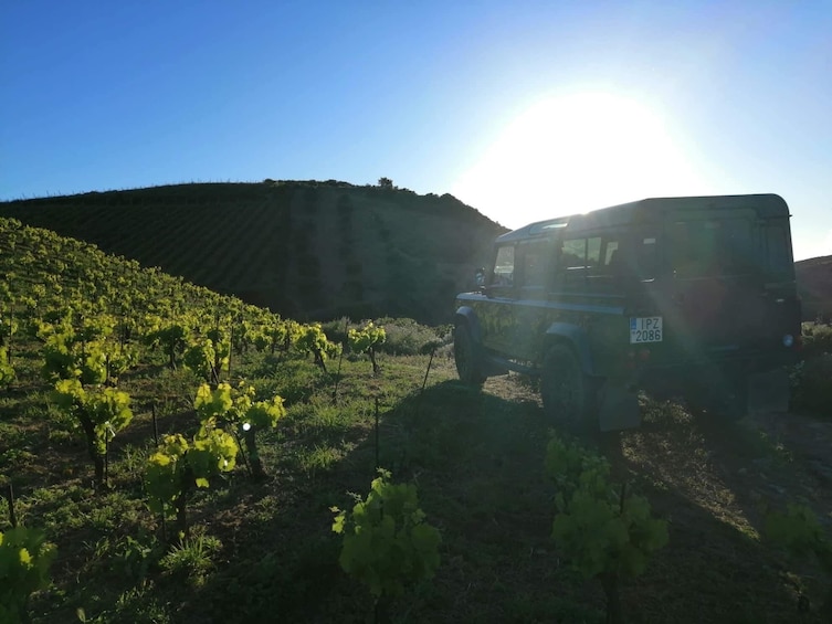 Sunset Safari Tour with Wine Tasting