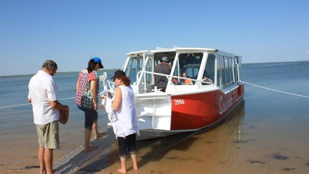 Coorong and Murray Mouth Highlights