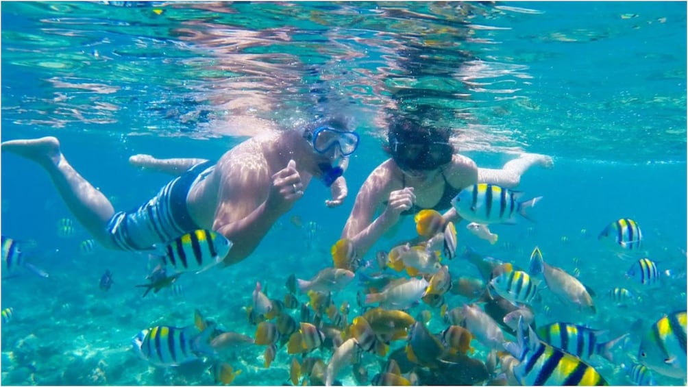 Show item 5 of 9. Couple snorkel with fish near Nusa Lembongan in Bali