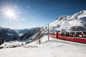 Bernina Express - Panoramic Carriage: Tour by bus from Milan