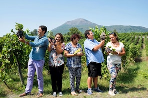 Pompeii & Vesuvius Wine Private Tour from Amalfi Coast
