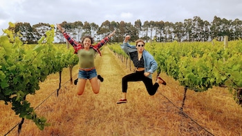 3 Day Margaret River & Albany Tour from Perth