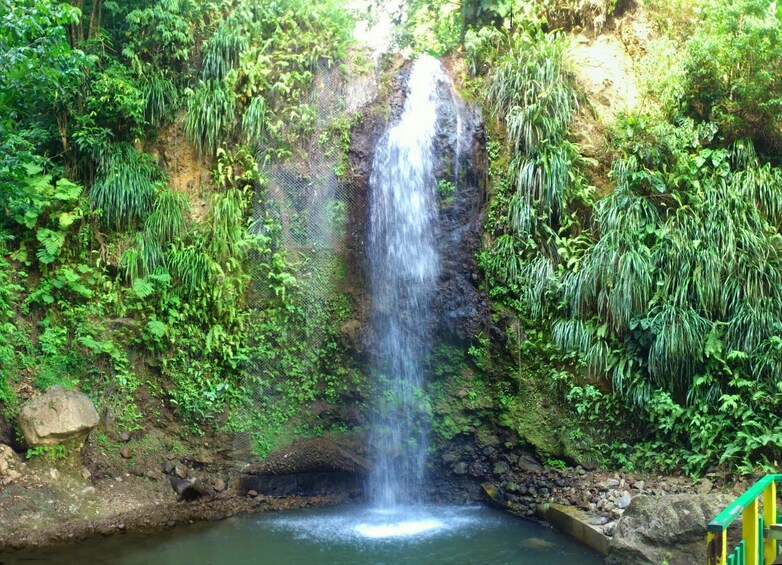 Gros Piton Hike & Mud Bath or Waterfall