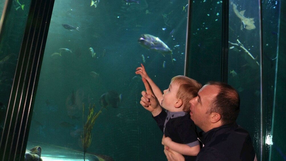 SEA LIFE Blackpool