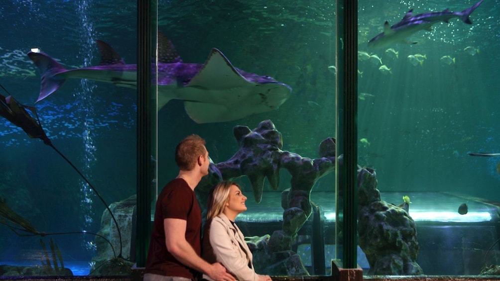 SEA LIFE Blackpool
