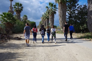 Kibbutz Experience Tour