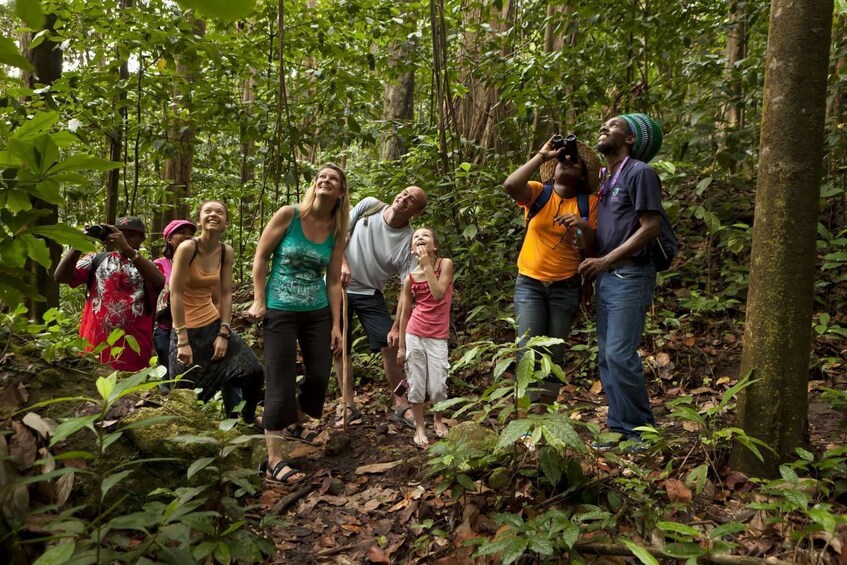 Saint Lucia Rainforest Tour