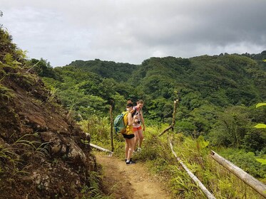 Visite de la forêt tropicale de Sainte-Lucie