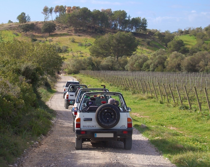 Line of Jeeps on path among fields of Mallorca