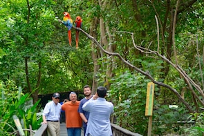 Half Day: Guayaquil City Tour & Historic Park