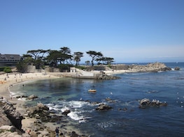 Monterey & Carmel Tour with 17-Mile Drive