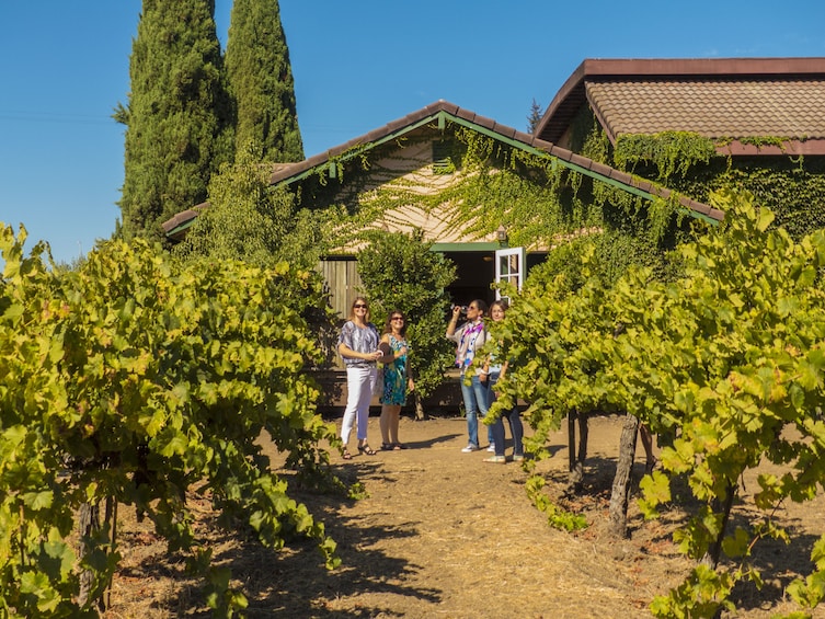 San Francisco City Tour & Sonoma Half-Day Wine Tour