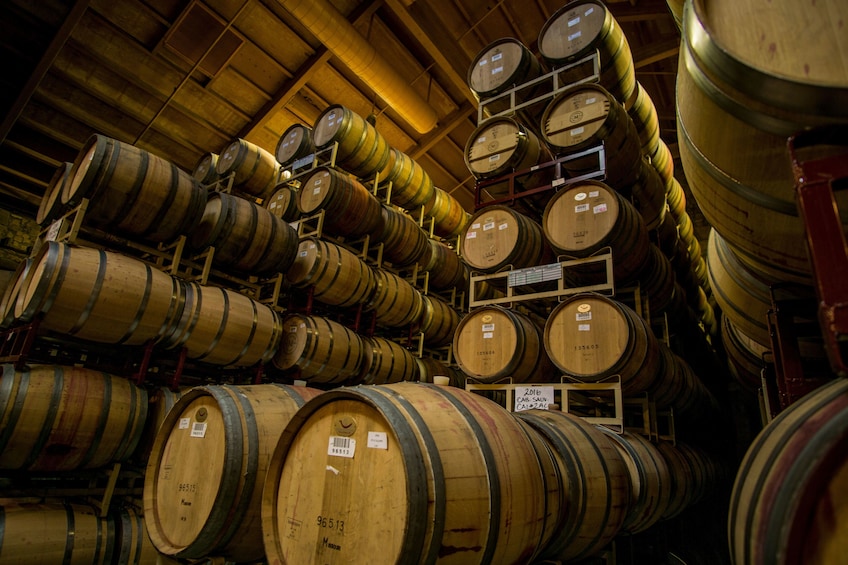 Wine Cellar full of barrels of wine in San Francisco