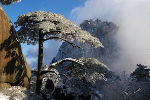 Mt Huangshan(Yellow Mountain) One Day Group Tour-No Shopping