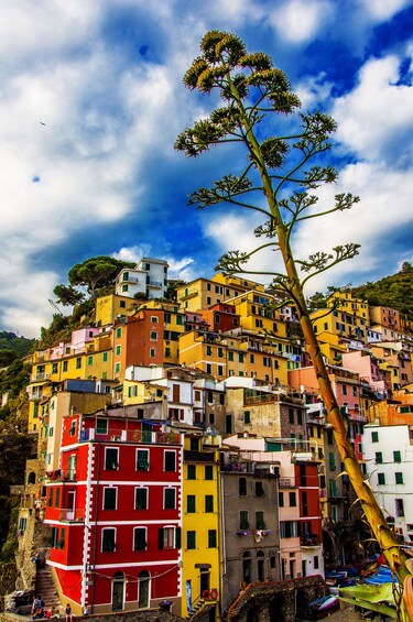 Show item 2 of 6. Cinque Terre full day