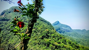 Tijuca Forest Adventure: Hike, Cave and Falls (FD) - private