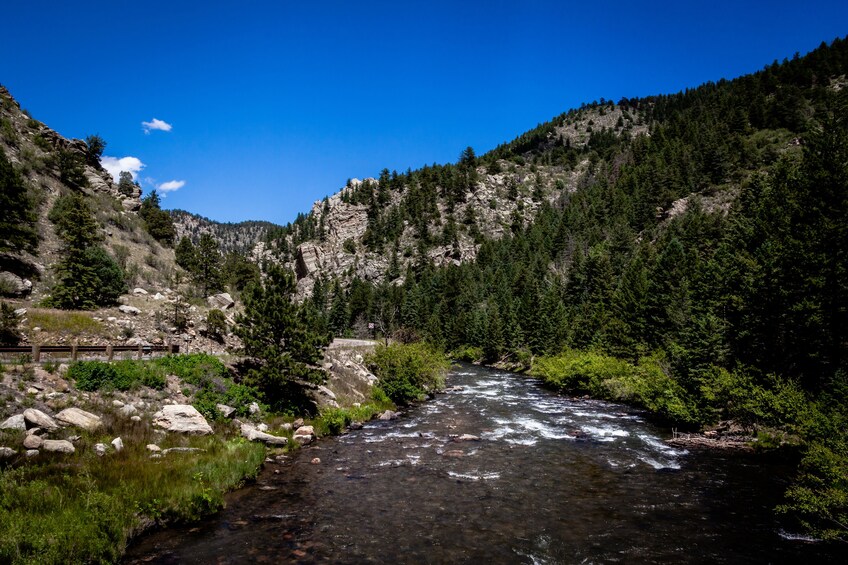 Half-Day Rocky Mountain Escape