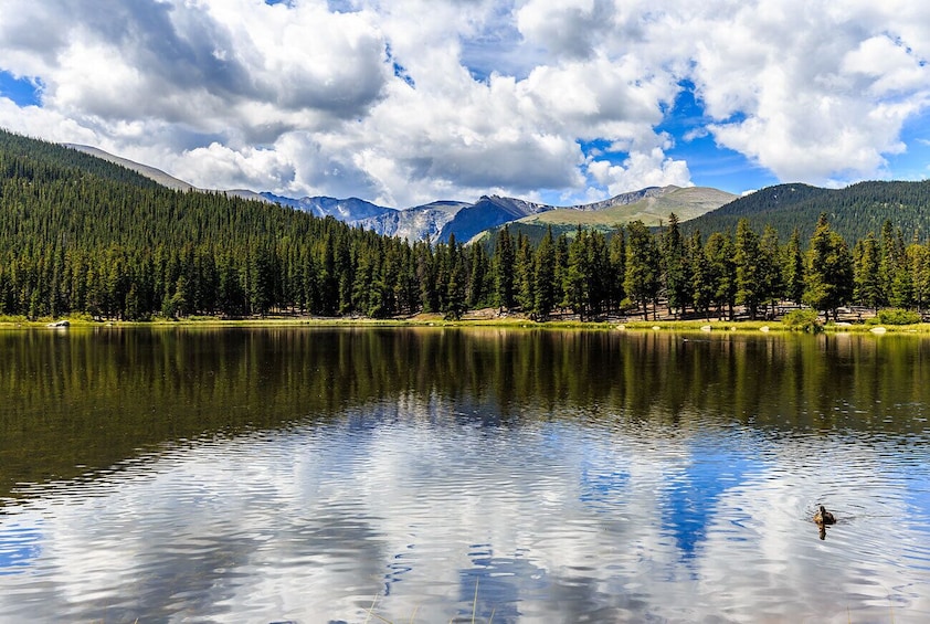 Rocky Mountain Escape