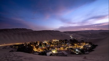 Tour to Paracas, Ica & Huacachina (From Lima)