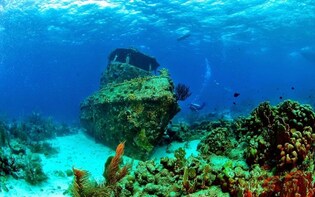 Tugboat & Turtle Snorkel Adventure