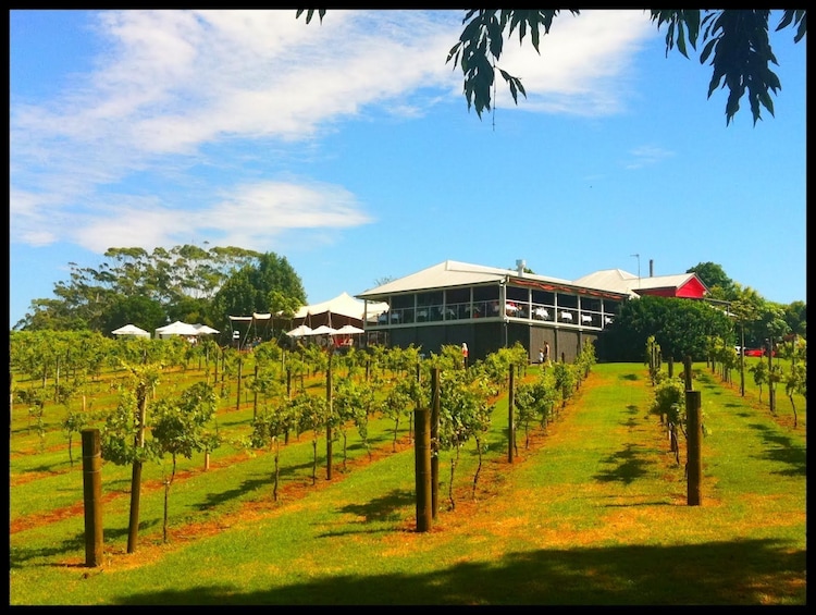 Deluxe helicopter winery tour extended