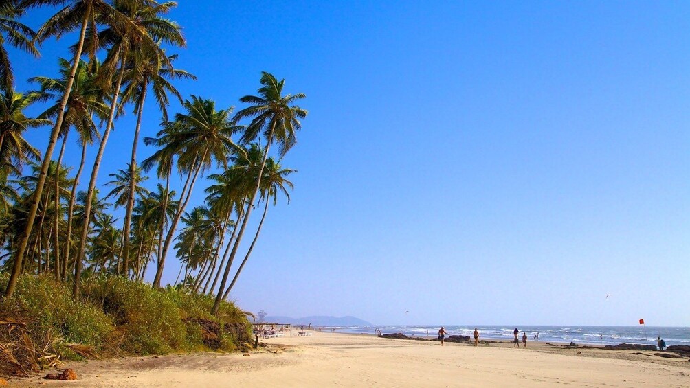 Show item 3 of 6. 4 Days Romantic Goa Tour