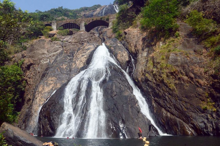 Show item 3 of 4. Dudhsagar Waterfall Wildlife Excursion Tour from Goa