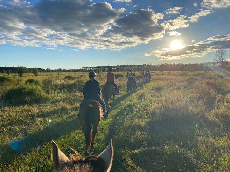 Horseback Trail Ride