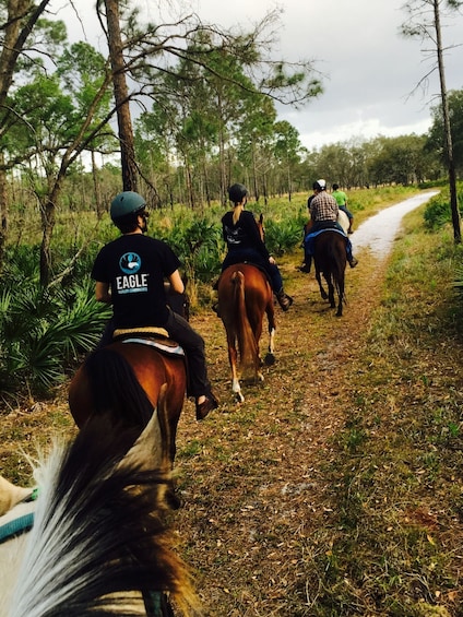 Horseback Trail Ride