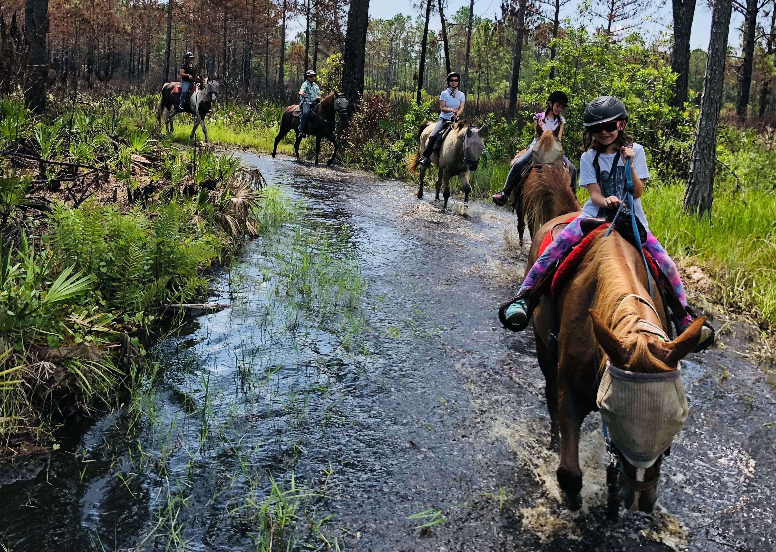 Horseback Trail Ride