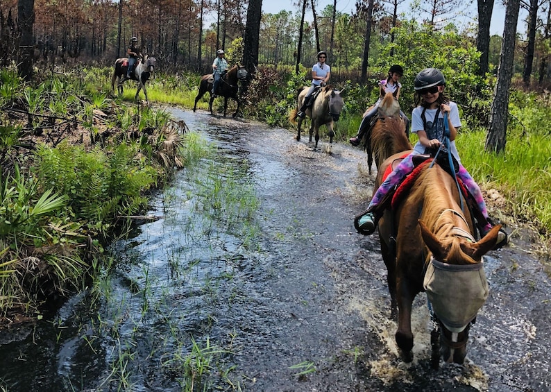 Horseback Trail Ride