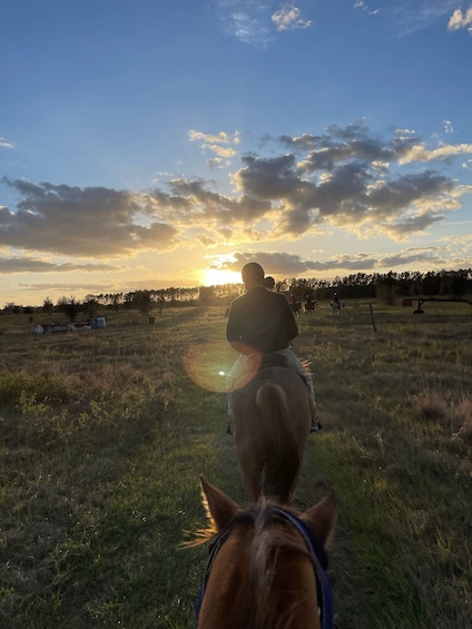 Horseback Trail Ride