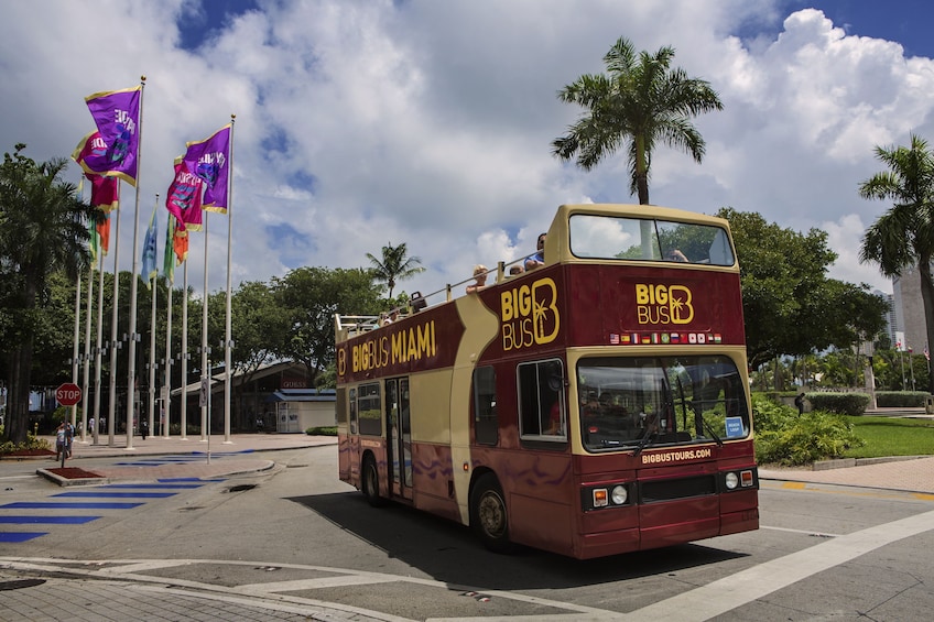 Miami Big Bus Panoramic Night Tour