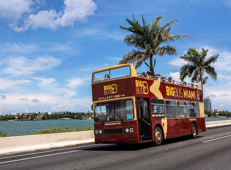 Miami Big Bus Panoramic Night Tour