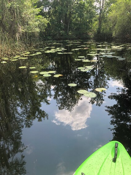 Guided Eco-Paddle