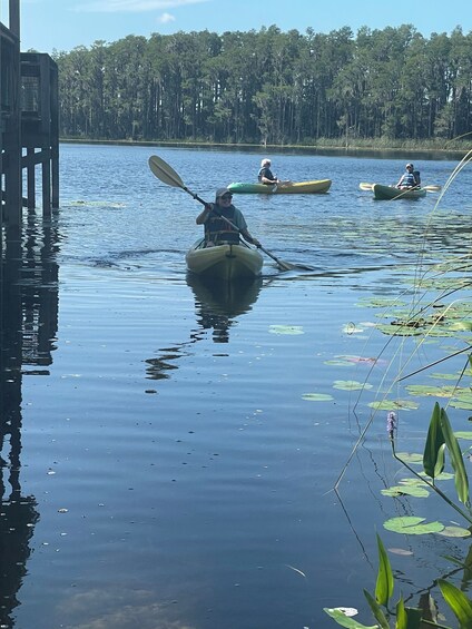 Guided Eco-Paddle