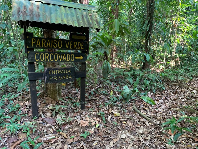 Show item 1 of 6. Paraiso verde-Corcovado Day Trip