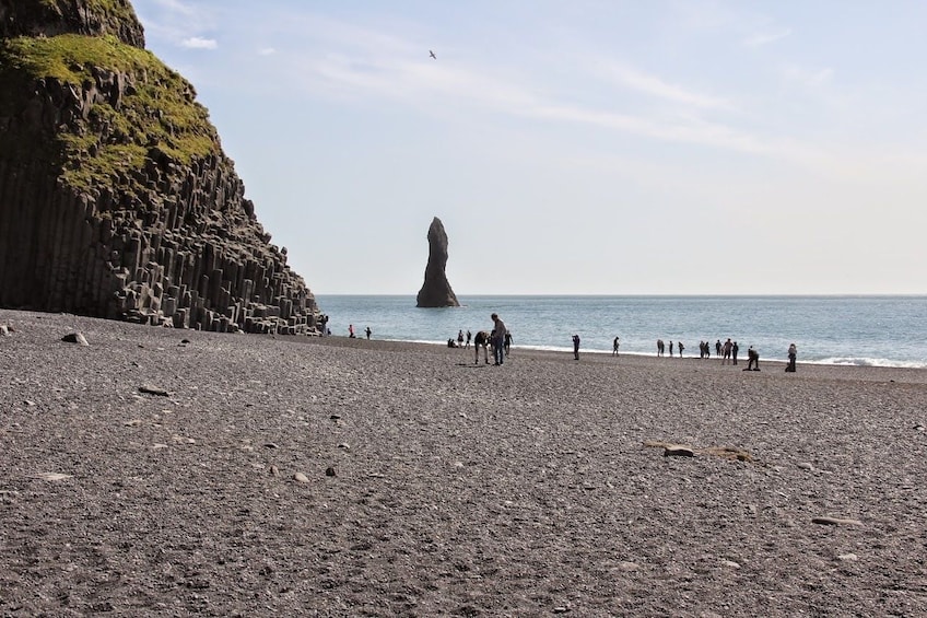 The Beautiful South Coast