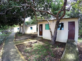 4 Days and 3 Nights in the Amazon Jungle with aircon