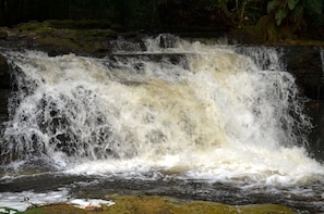 Amazon Waterfalls