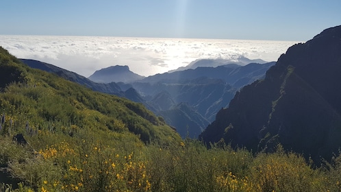 Paseo guiado privado por Vereda Pico Areeiro - Pico Ruivo