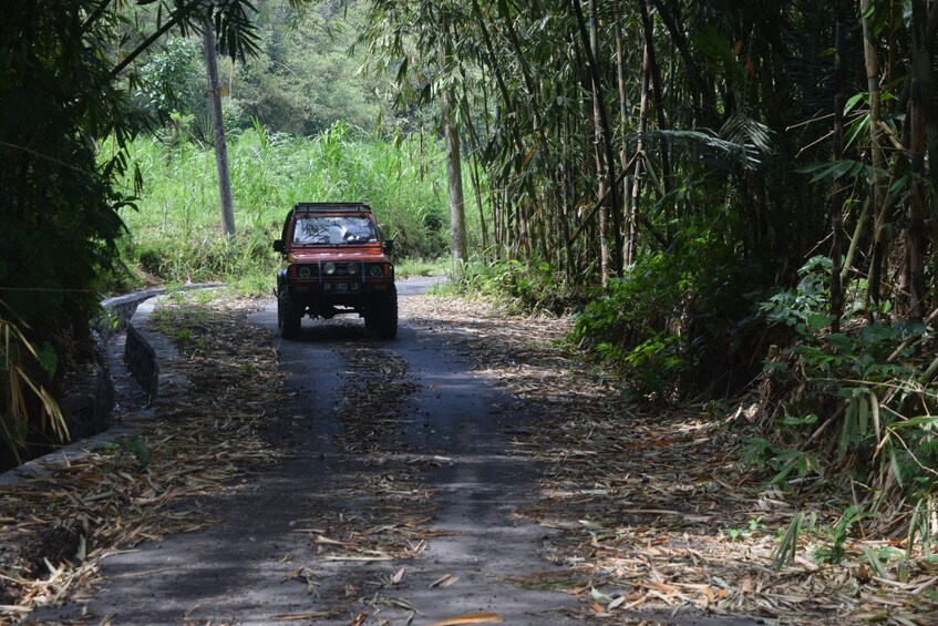 Salak Plantation Tour By Jeep